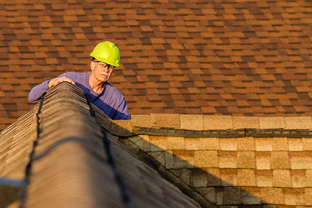 Best Roof Maintenance Services  in Alexander, AR